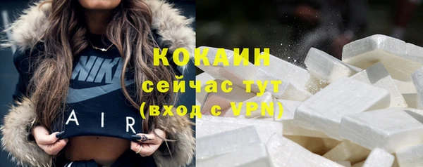 гашик Арсеньев