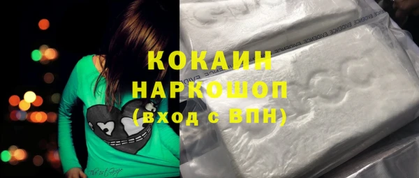 гашик Арсеньев