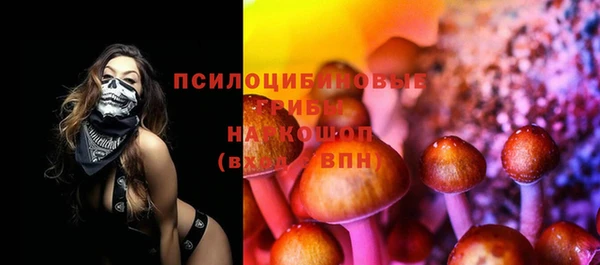 стафф Армянск