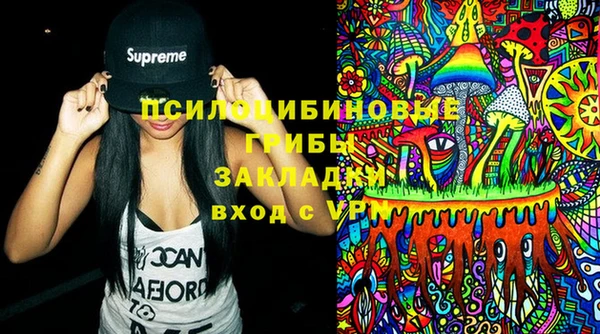 гашик Арсеньев